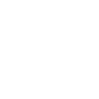 Sondico